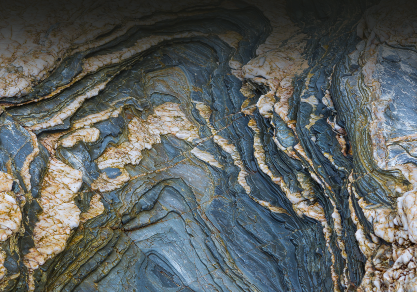 Copy of AgMR Blog Image-2