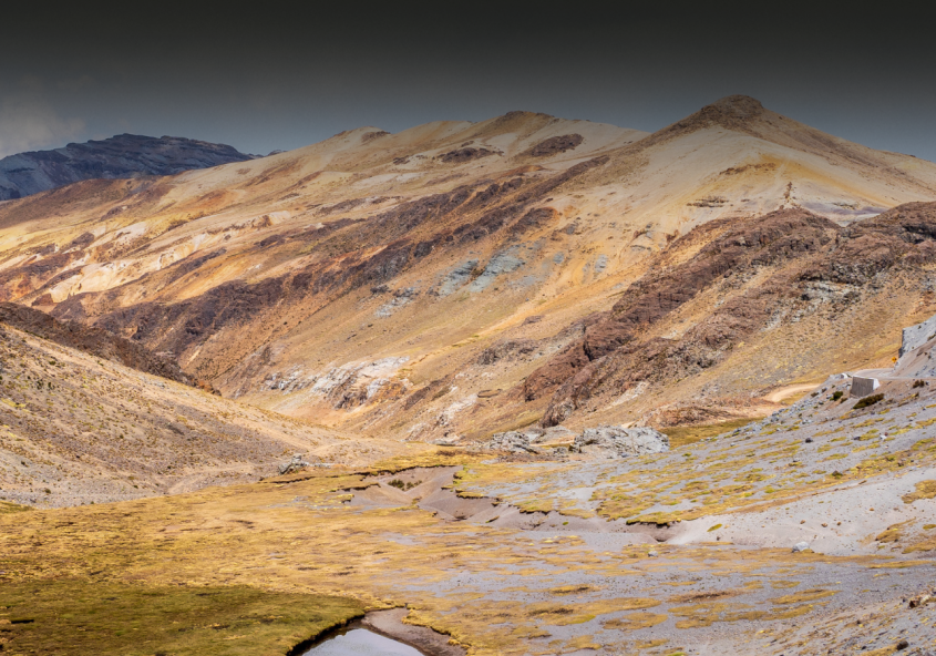 Copy of AgMR Blog Image (4)