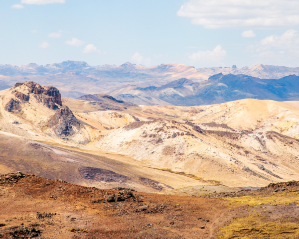 Copy of AgMR Blog Image (2) Copy of AgMR Blog Image (2)